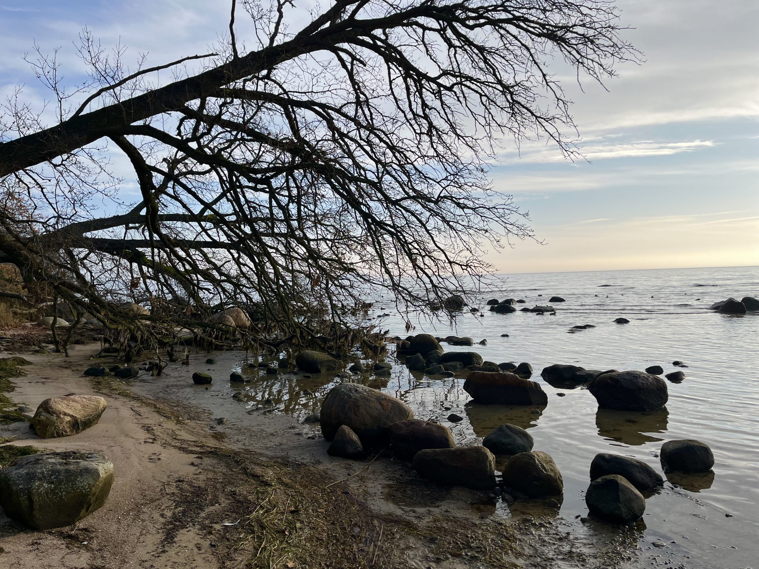 Lauterbach auf Rügen und der Pfad der Muße und Erkenntnis